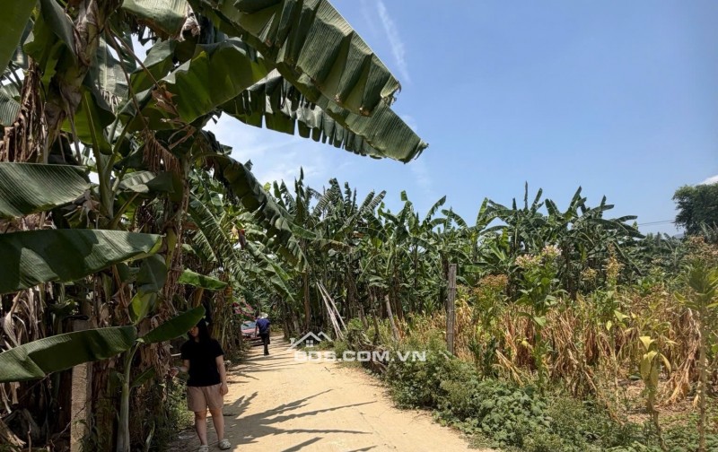 ĐÂT ĐẠI NGHĨA- ĐẠI LỘC BÁN NHANH- RẺ THANH TOÁN NGÂN HÀNG